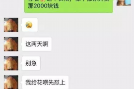 萨迦债务清欠服务